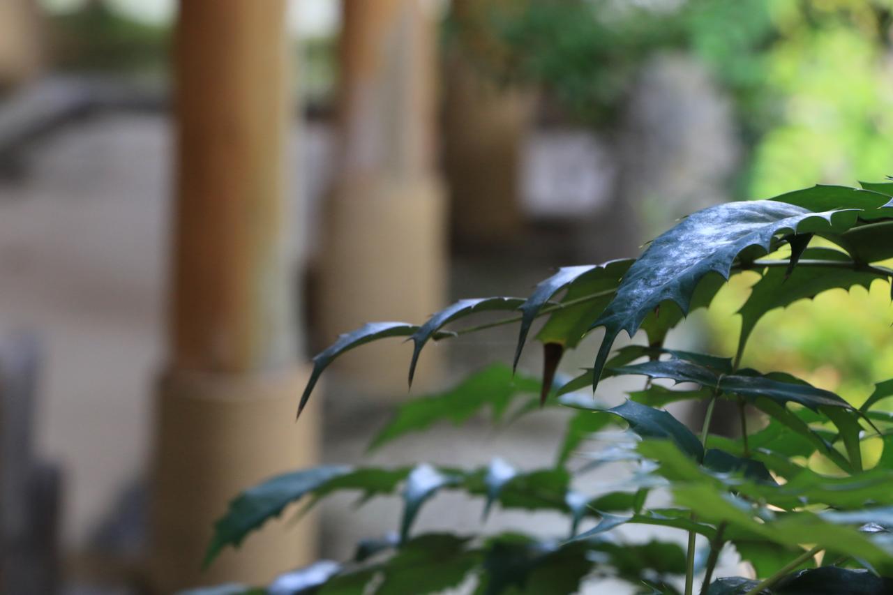 Kikuchi Ryokan Otsukien المظهر الخارجي الصورة